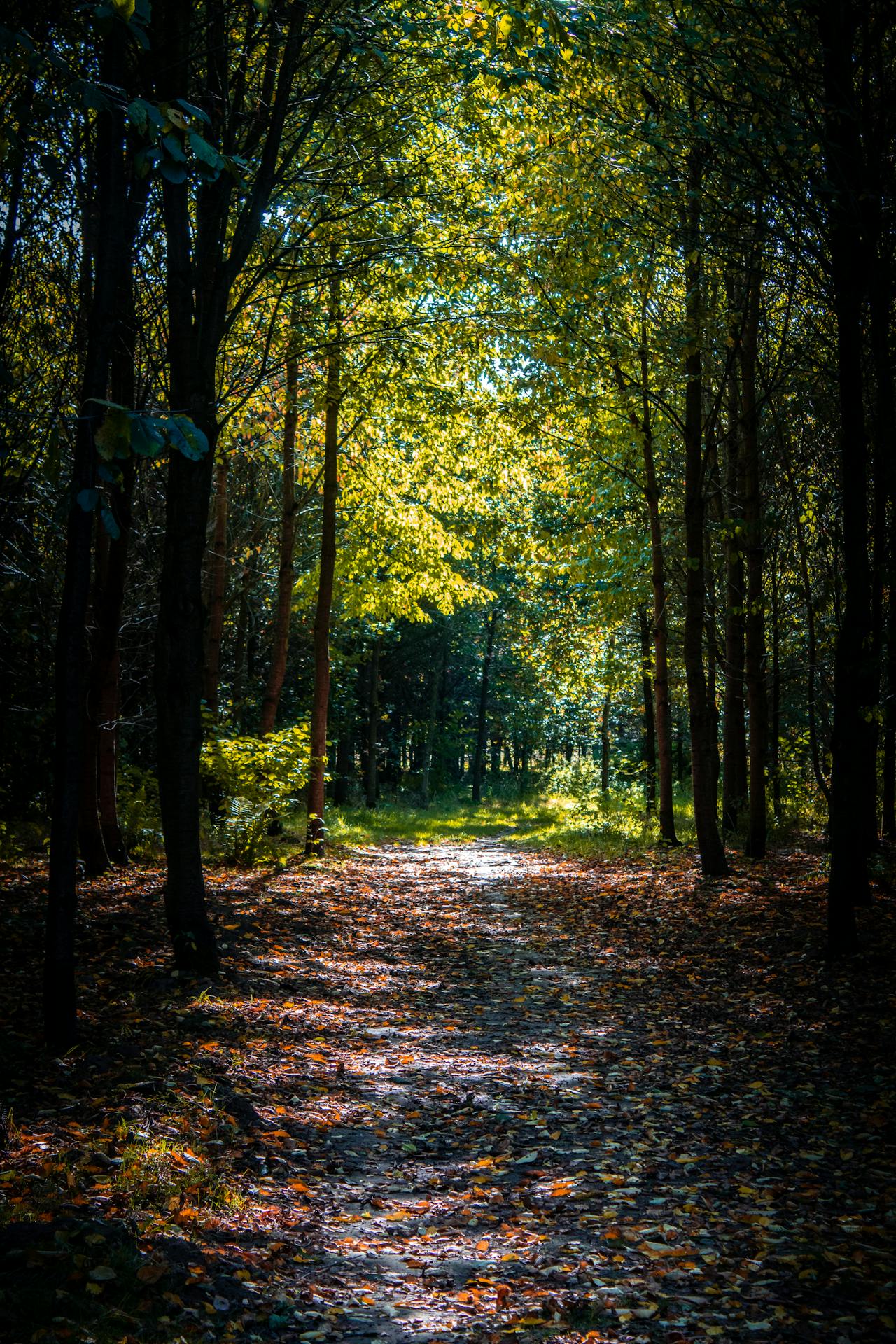 Service intervention par la nature